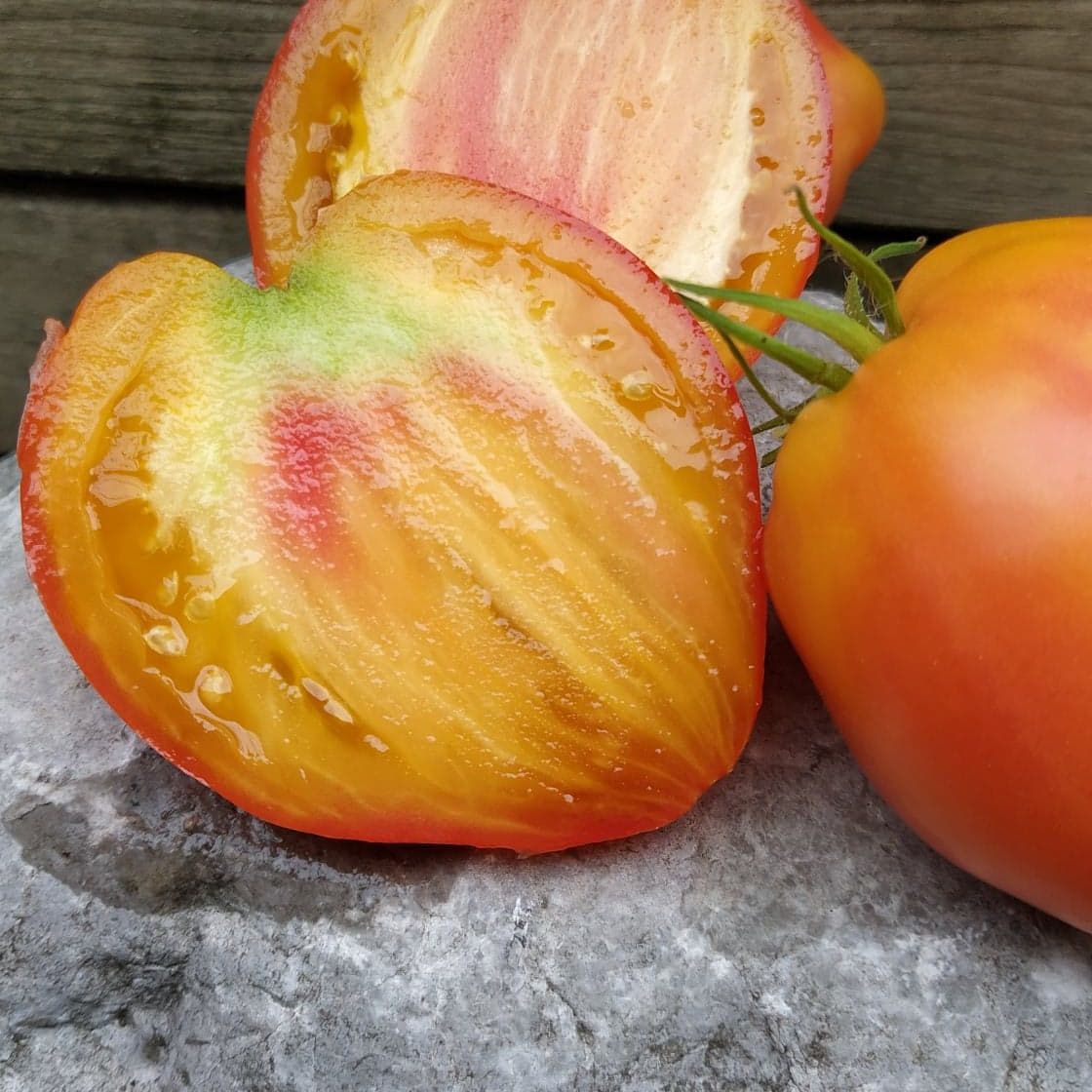 Sunkissed Peach Dwarf