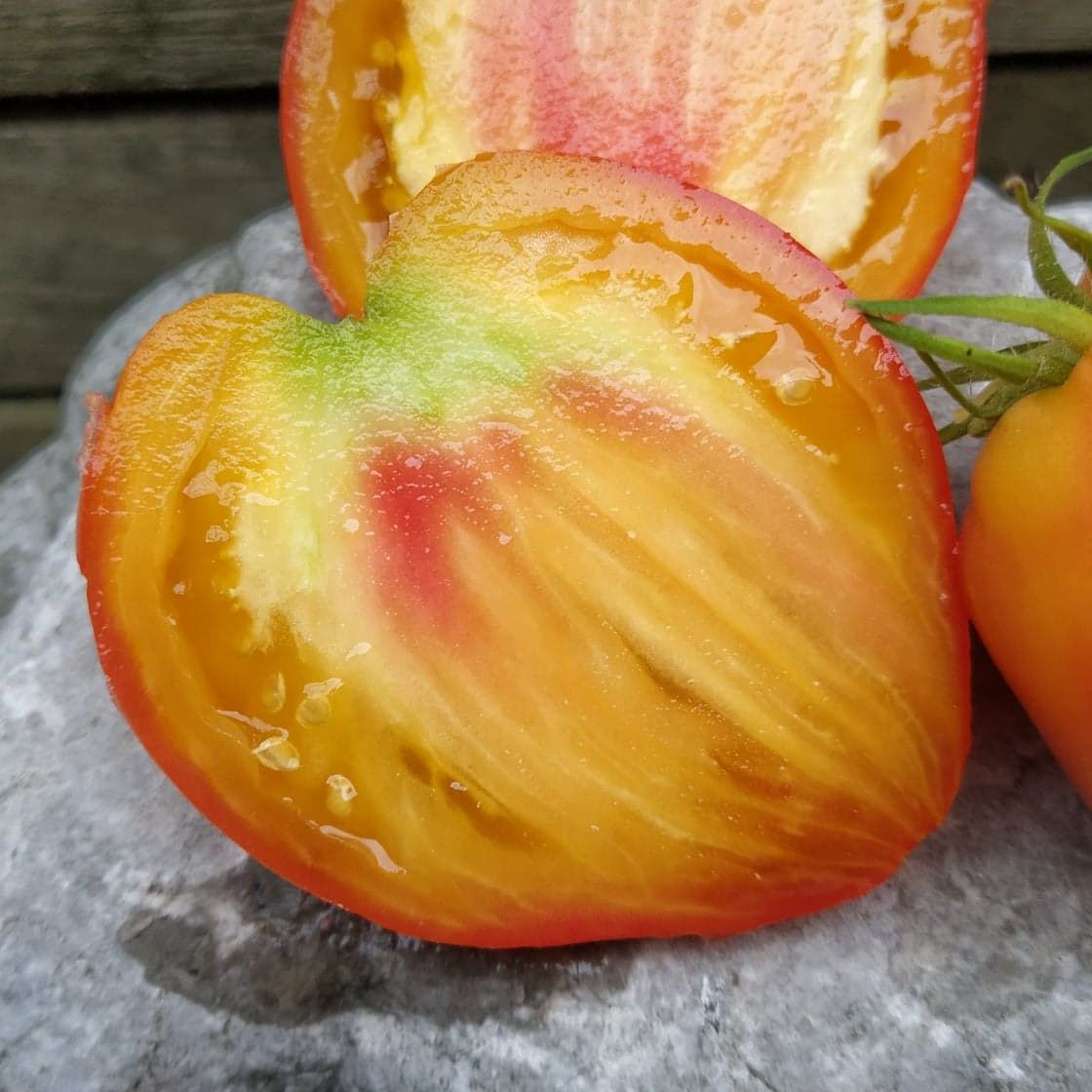 Sunkissed Peach Dwarf